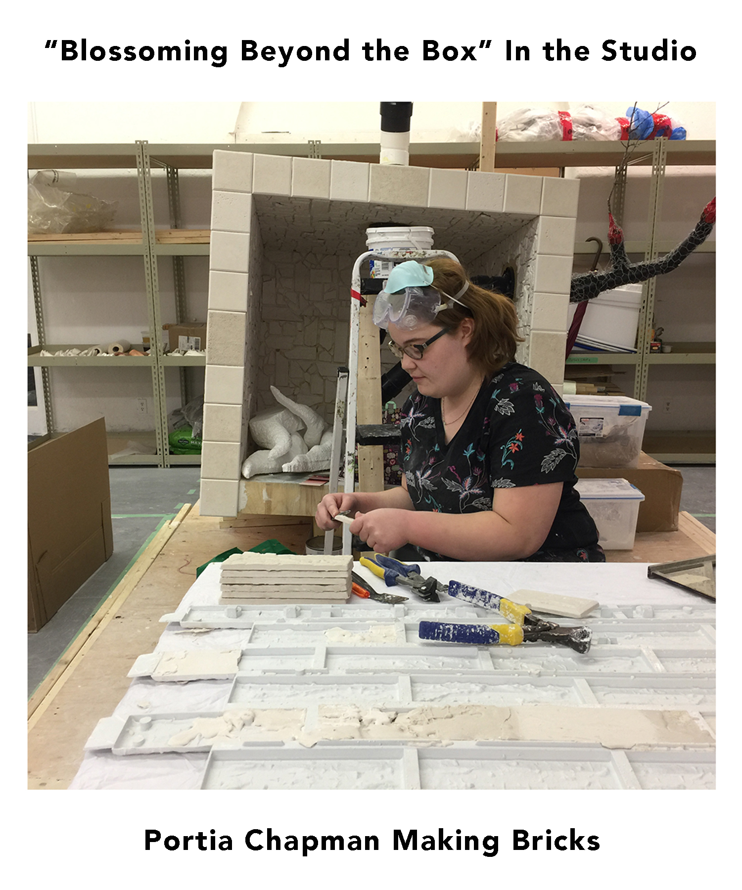 Blossoming Beyond the Box wordpress