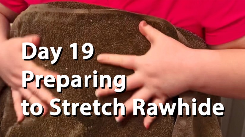 A close-up of Kingston artist Portia Po Chapman’s hands pressing down on a brown towel that is covering soaked rawhide to remove excess moisture. Bold white text in the center reads "Day 19 Preparing to Stretch Rawhide."
