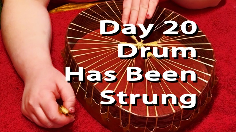 A top-down view of the back of a frame drum resting on a red towel. The translucent rawhide is tightly laced to the dark wood frame with golden sinew, meeting in a central cross pattern. An artist's hand holds the remaining sinew. Bold white text reads "Day 20 Drum Has Been Strung."