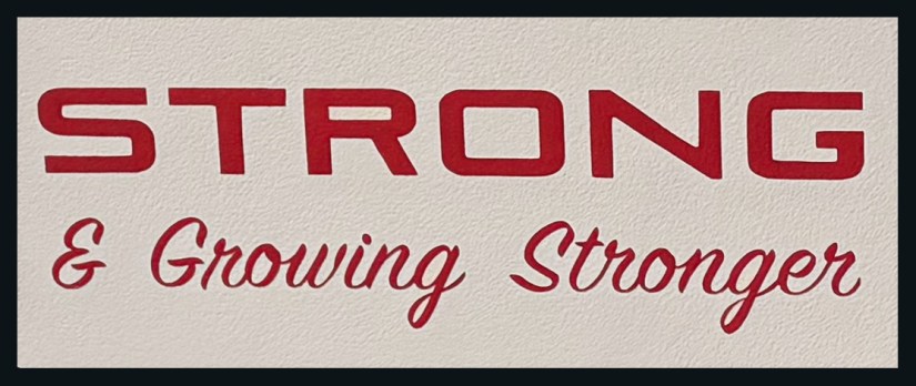 Close-up detail of hand-painted red lettering on a white background, showcasing uniform paint texture and crisp typographical skill by Portia Chapman.