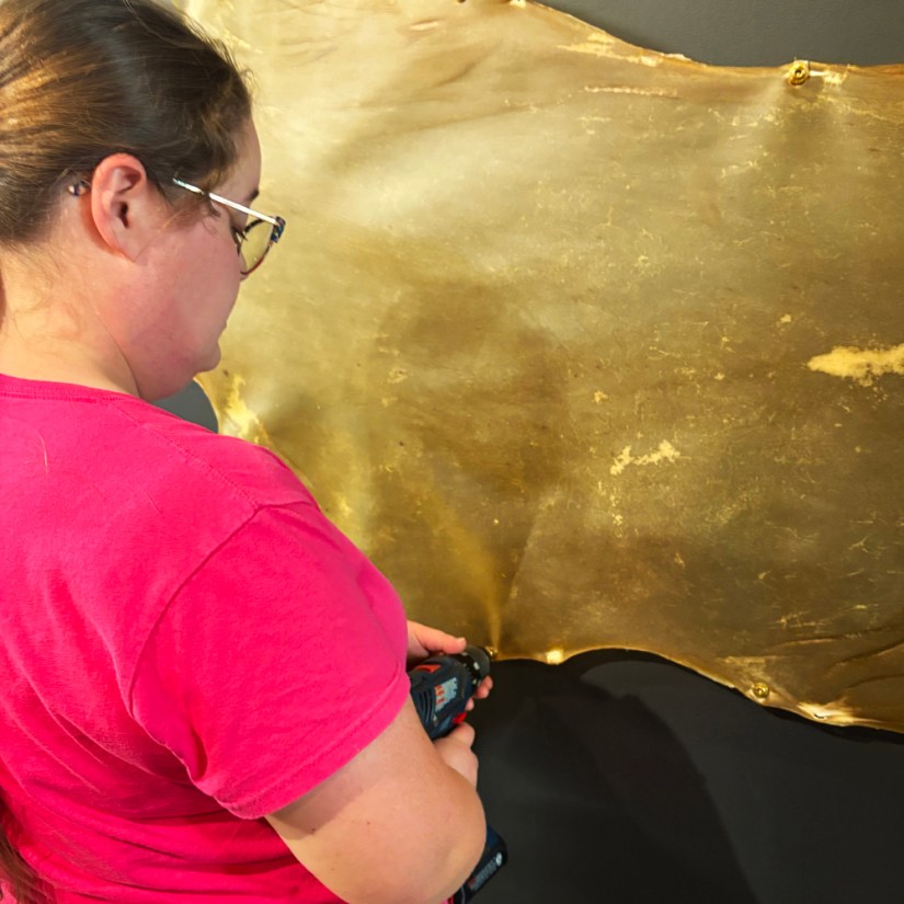 Portia Po Chapman, Kingston artist, using a power drill to fasten a large, flattened natural deer rawhide onto a dark gallery wall using brass screws and custom copper pipe spacers.
