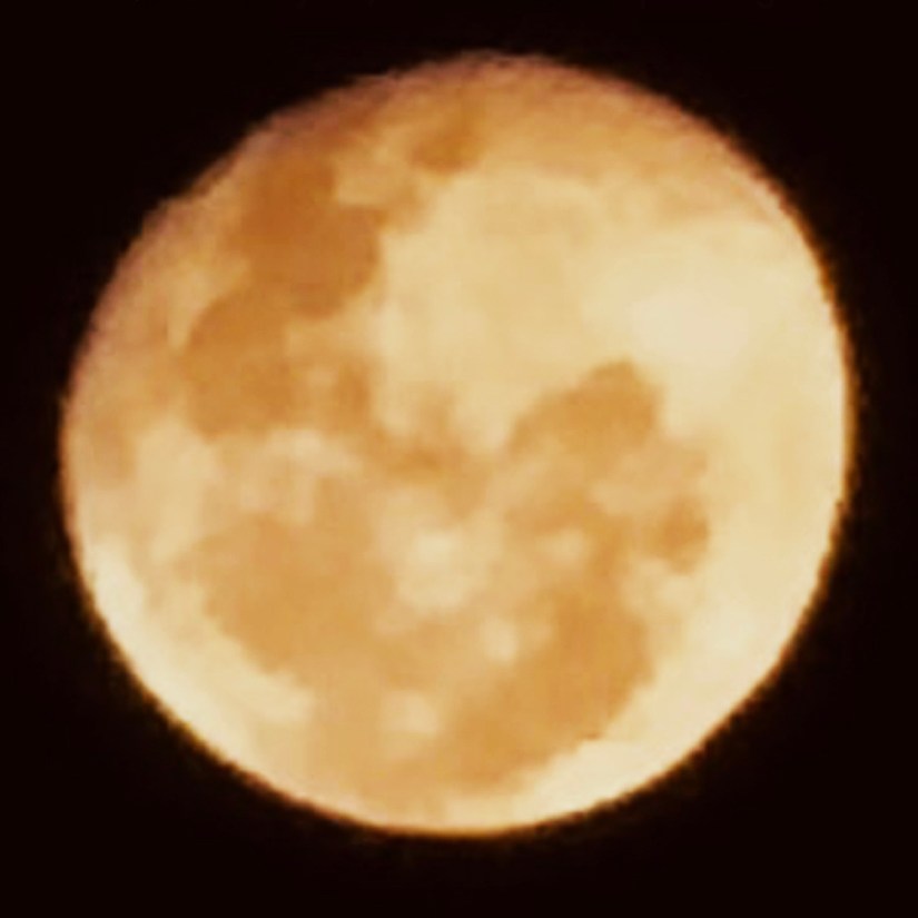 Photograph of a warm golden full moon shining brightly in a night sky, echoing the organic textures and backlighting of rawhide artwork by Portia Po Chapman.