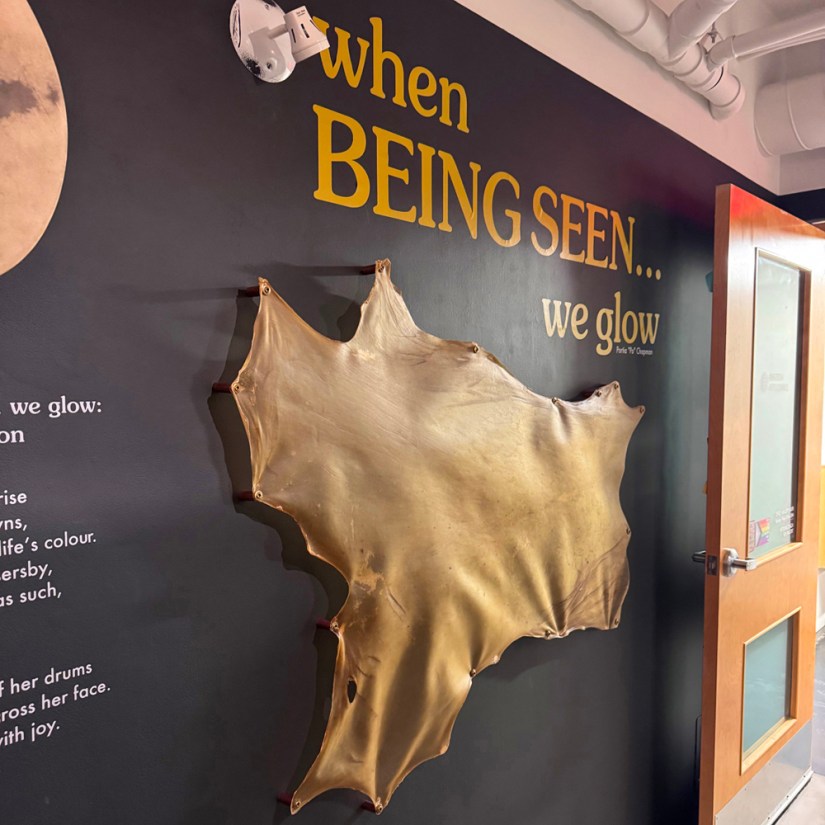 A large, natural deer rawhide mounted on a dark gallery wall beneath gold vinyl lettering reading 'when BEING SEEN... we glow', floating off the wall using copper pipe spacers.