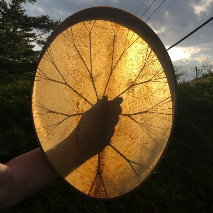 Hand-built bison rawhide on oak frame drum held up to natural sunlight, revealing a translucent golden glow and intricate tree of life stringing pattern.